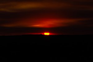 20220419Sunset-77.jpg
